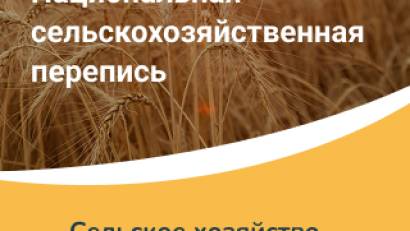Национальная сельскохозяйственная перепись